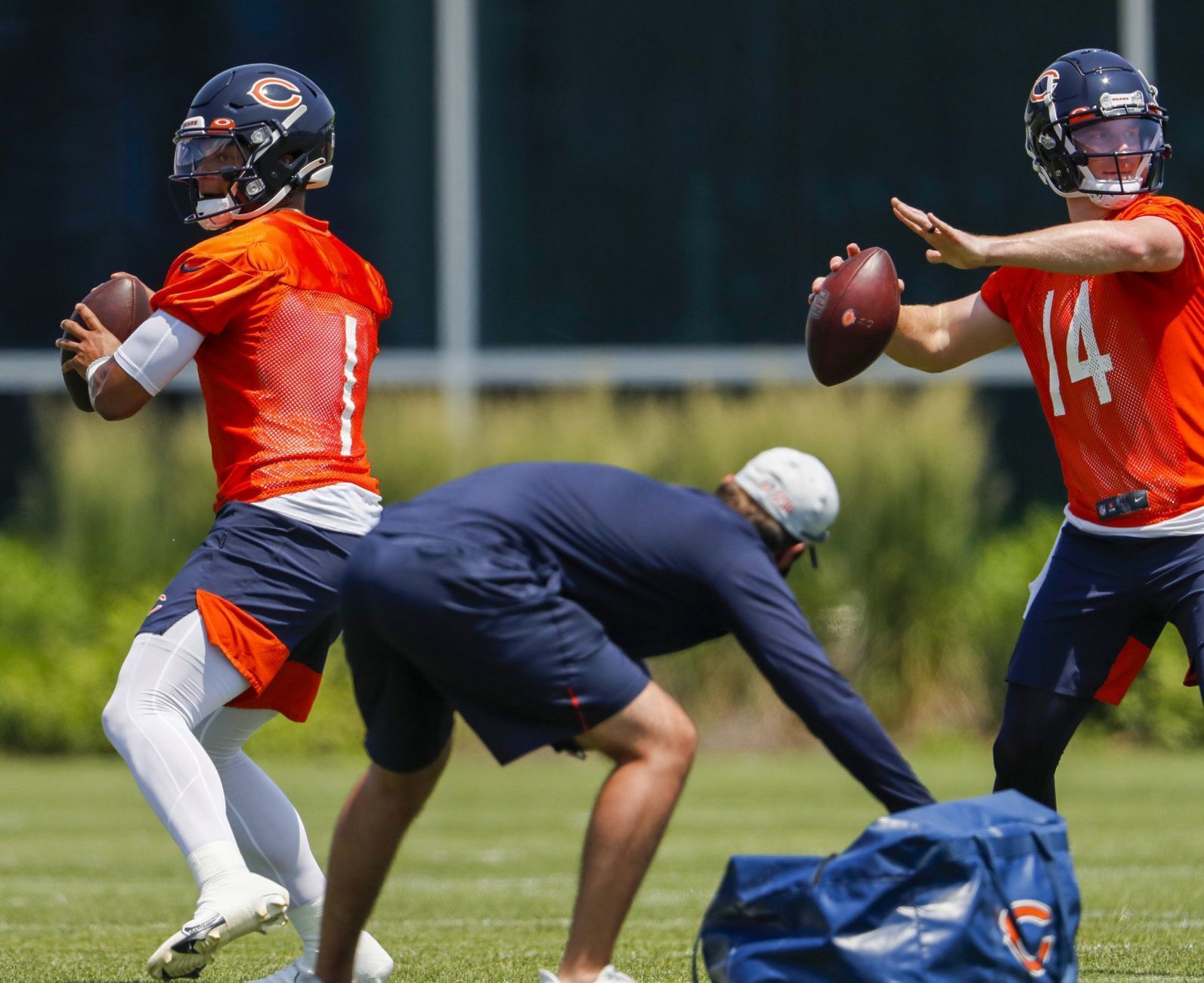 Chicago Bears